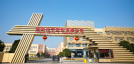 AG庄嫌驻(中国)集团