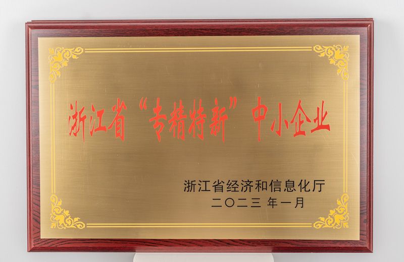 浙江省专精特新中幼企业-省厅发