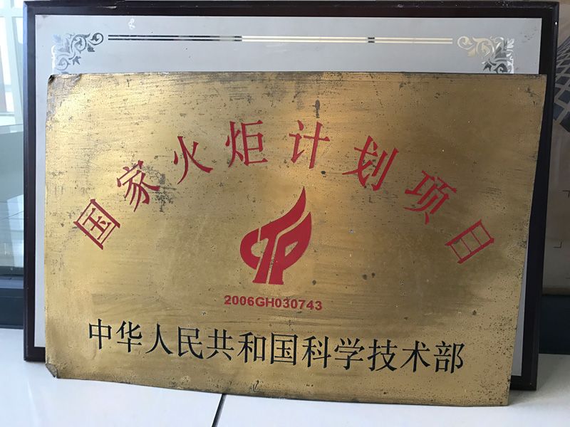 国度火炬打算项目