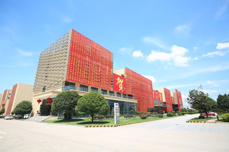 明星企业AG庄闲集团光学逆袭之路