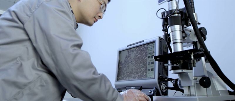 AG庄嫌驻(中国)集团